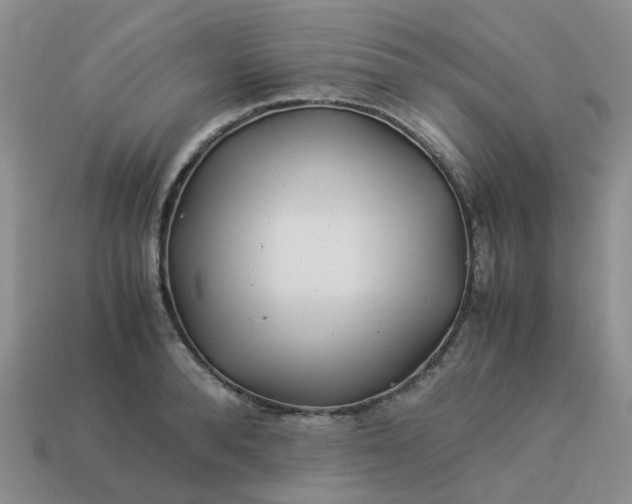 X0000113990896200910161644