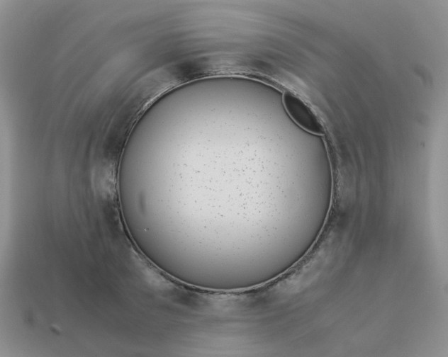 X0000113990897200910161644