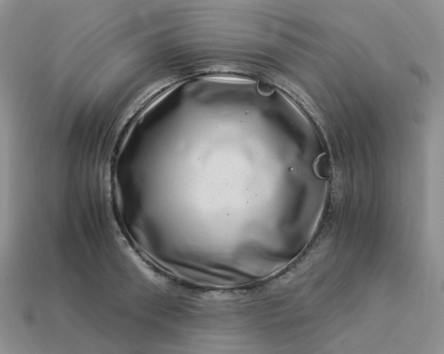 X0000113990898200910161644