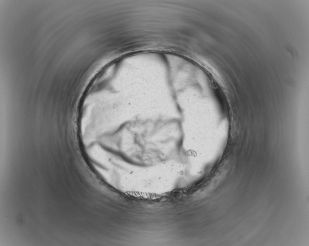 X0000113990899200910161644