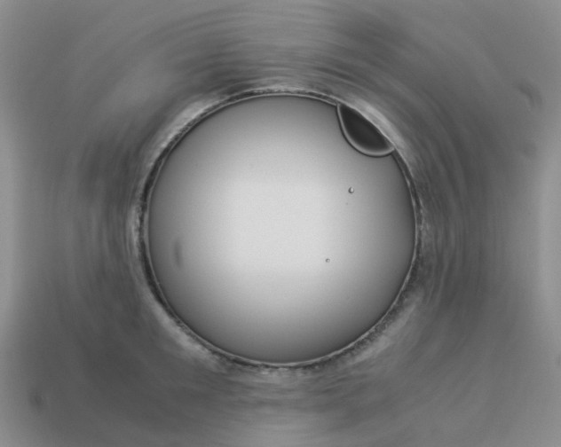 X0000113990901200910161644