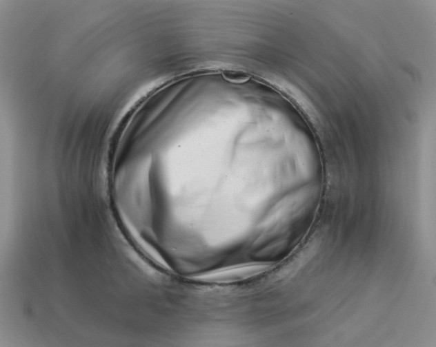 X0000113990902200910161644