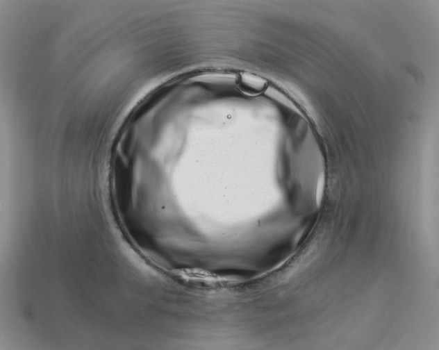 X0000113990903200910161644