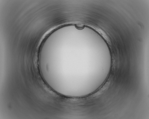 X0000113990904200910161644