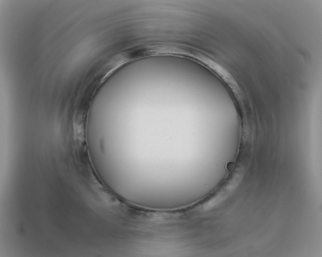 X0000113990905200910161644