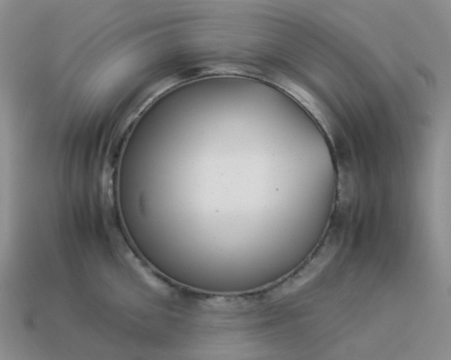 X0000113990906200910161644