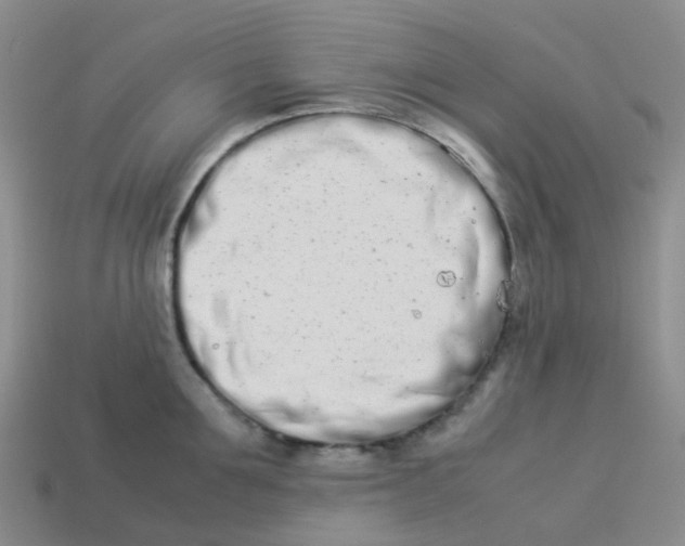 X0000113990907200910161644