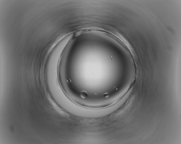 X0000113990909200910161644