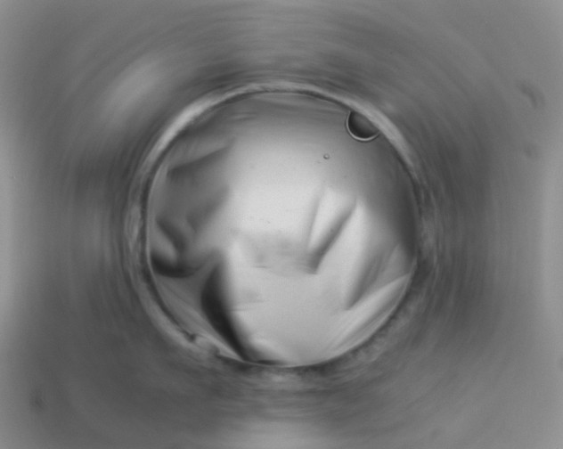 X0000113990911200910161644