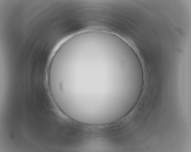 X0000113990912200910161644