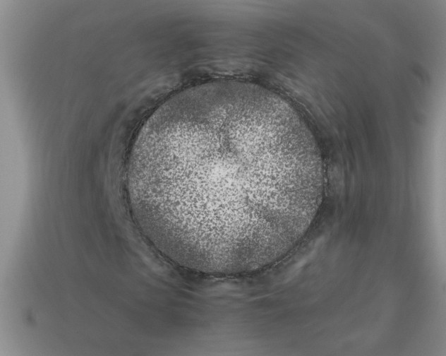 X0000113990913200910161643