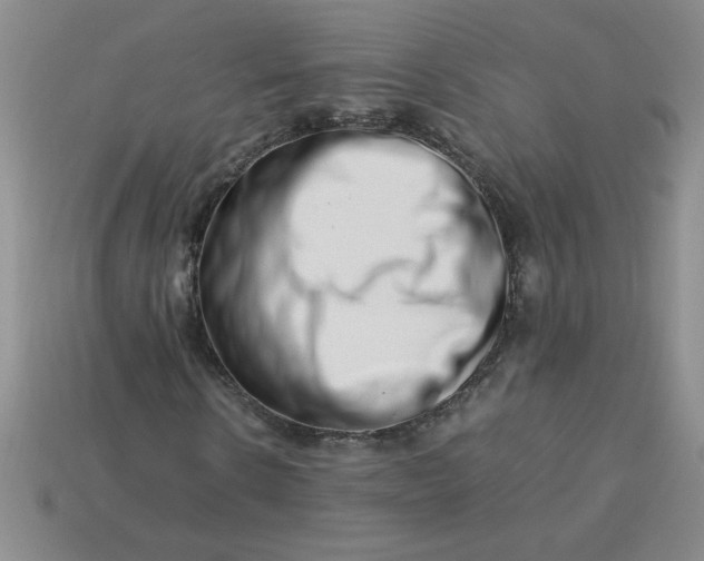 X0000113990914200910161643