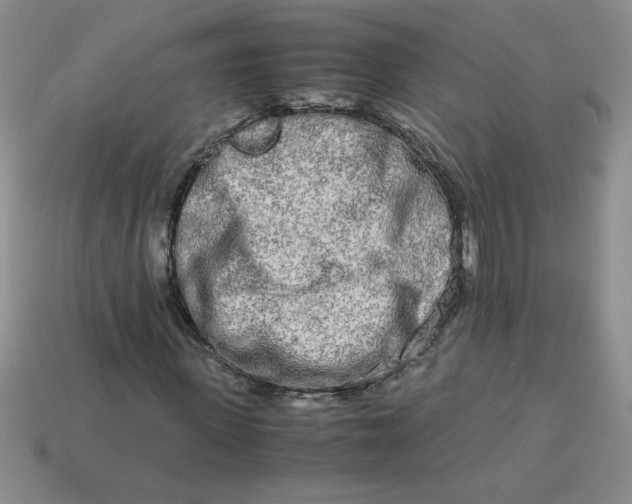 X0000113990915200910161643