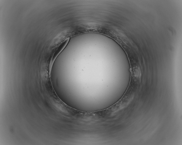 X0000113990916200910161643