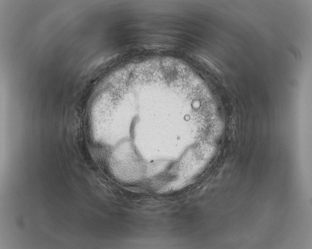 X0000113990917200910161643