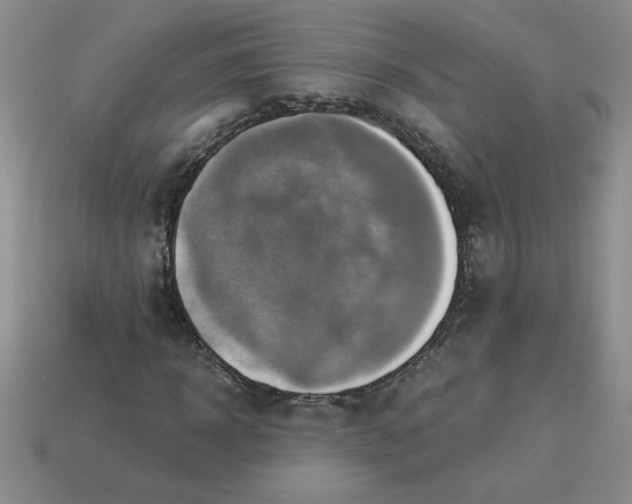 X0000113990918200910161643