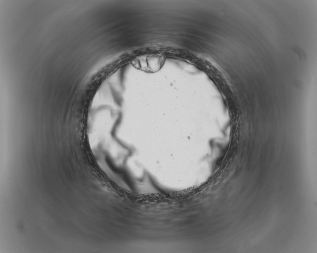 X0000113990919200910161643