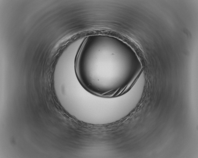 X0000113990920200910161643