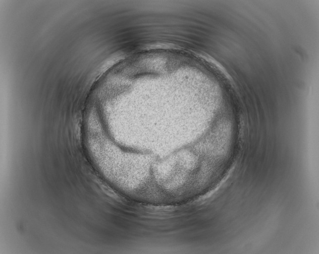 X0000113990921200910161643