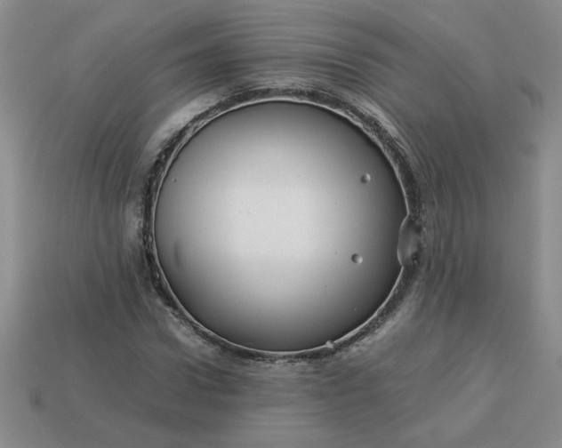 X0000113990922200910161643