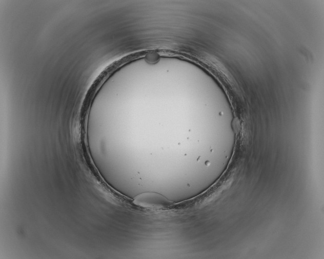 X0000113990924200910161643