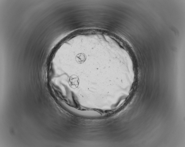 X0000113990925200910161643