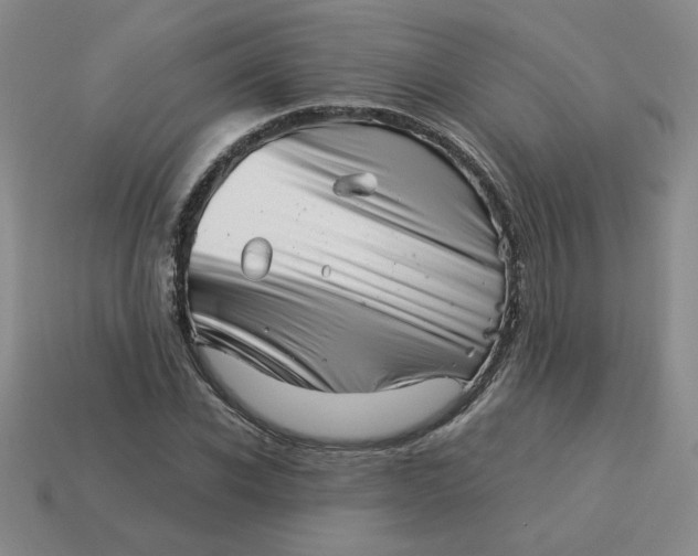 X0000113990926200910161643