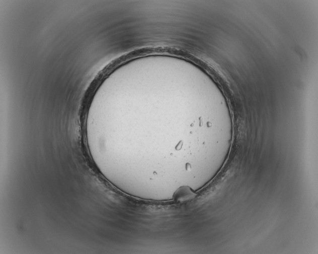 X0000113990927200910161643