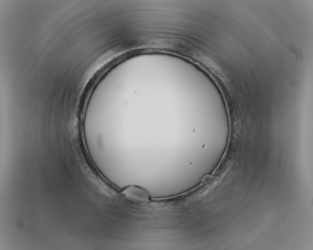 X0000113990928200910161643