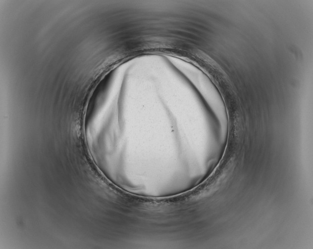 X0000113990929200910161643