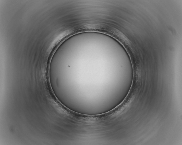 X0000113990930200910161643