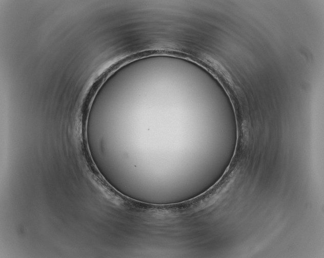 X0000113990931200910161643