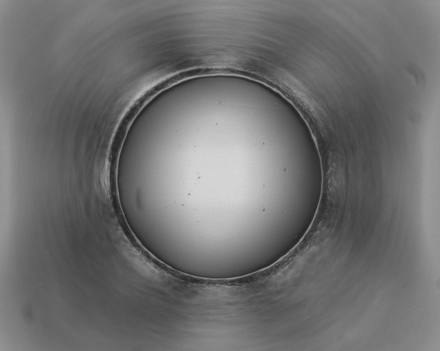 X0000113990932200910161643