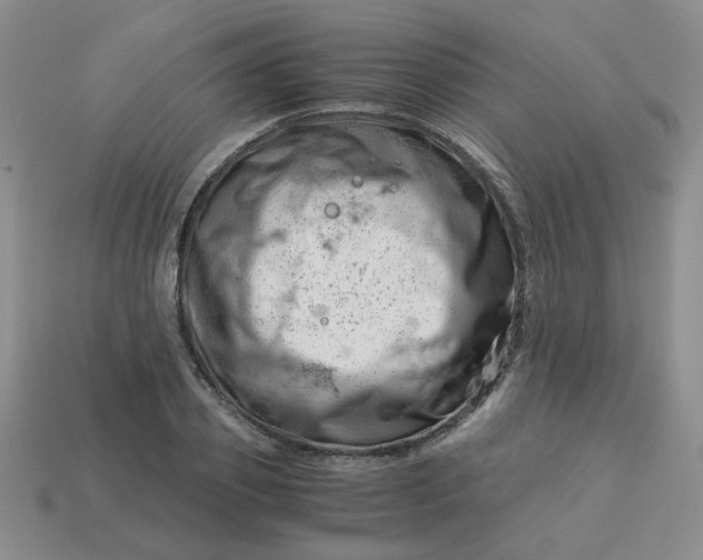 X0000113990933200910161643