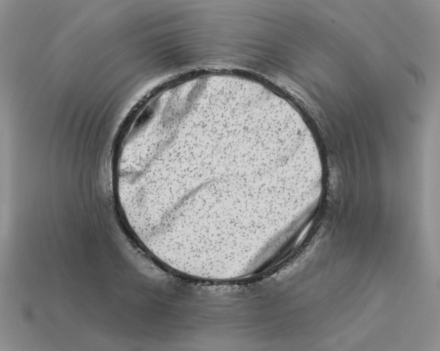 X0000113990934200910161643