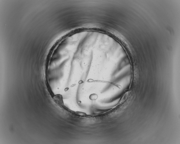 X0000113990935200910161643