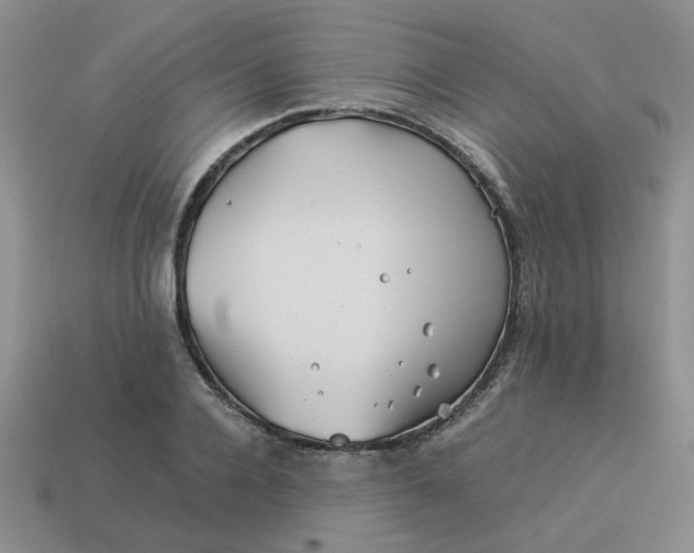 X0000113990936200910161643