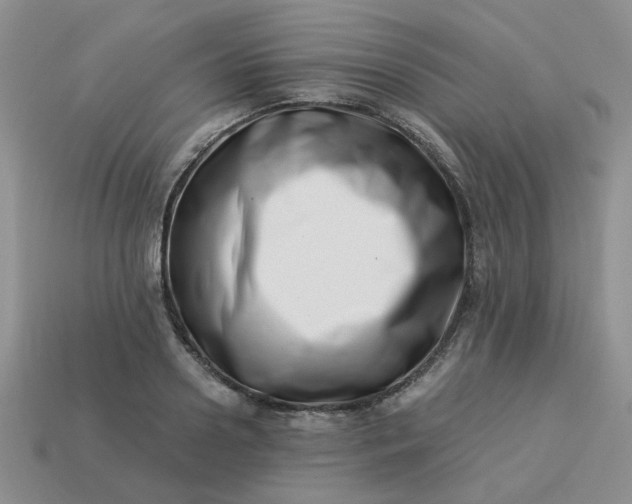 X0000113990938200910161643