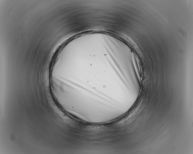 X0000113990939200910161643