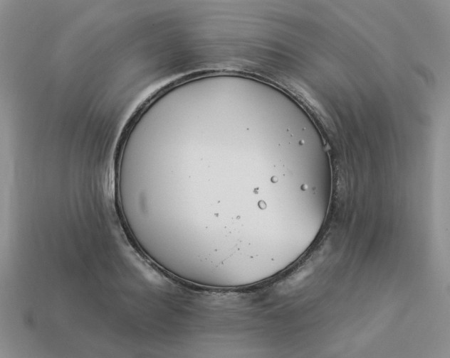 X0000113990940200910161643