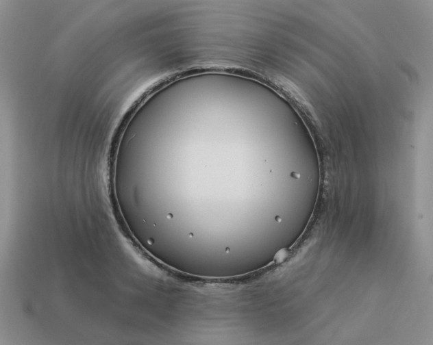 X0000113990942200910161643