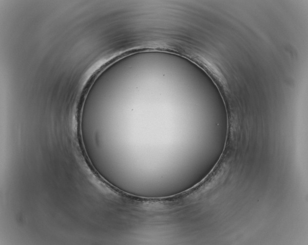 X0000113990944200910161643