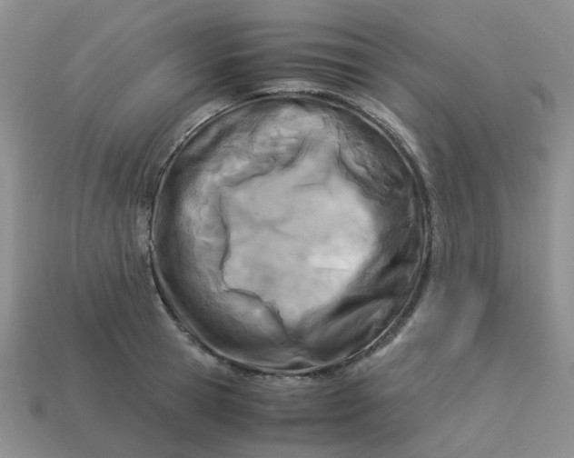 X0000113990945200910161643