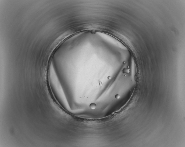 X0000113990946200910161643