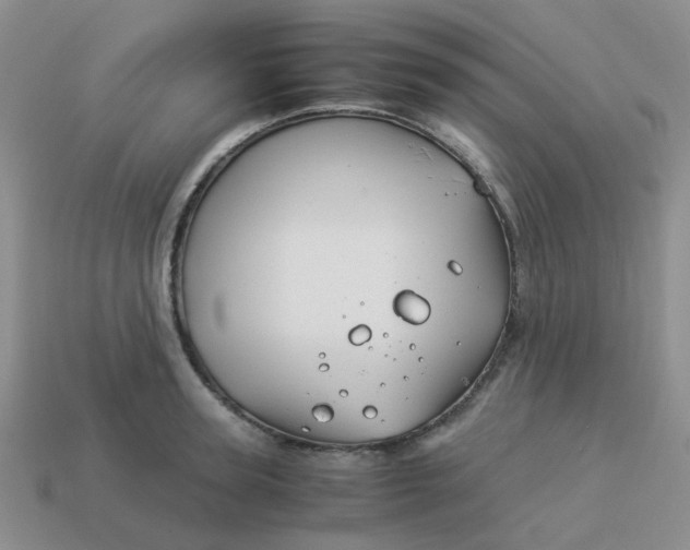 X0000113990947200910161643