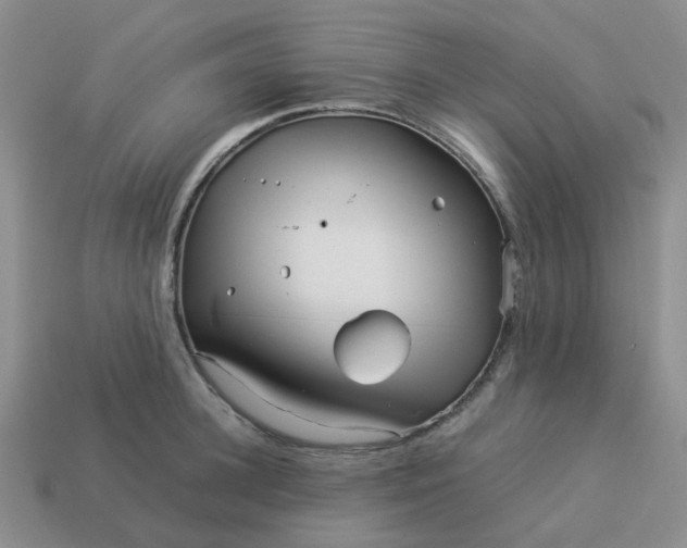 X0000113990948200910161643