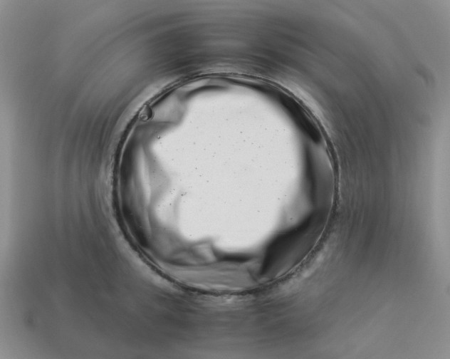 X0000113990949200910161643