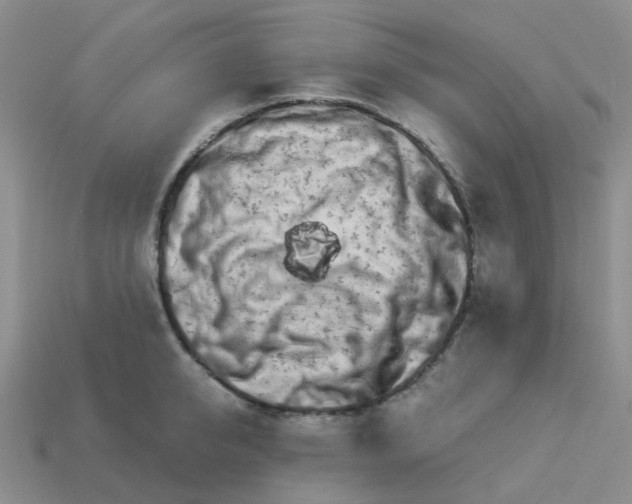 X0000113990950200910161643