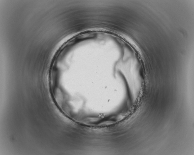 X0000113990951200910161643