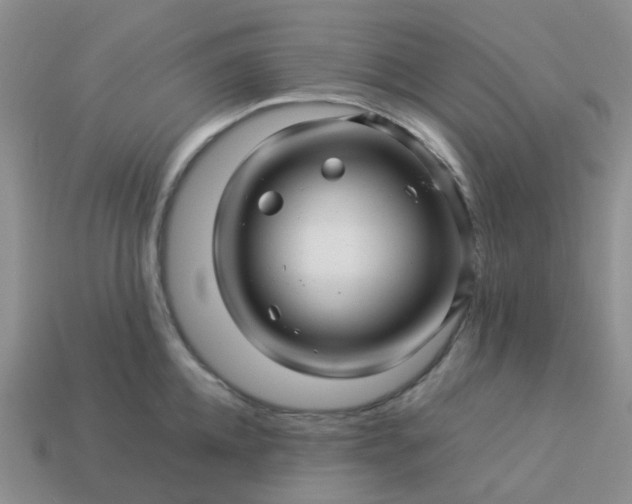 X0000113990952200910161643